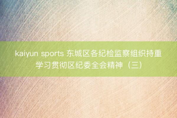 kaiyun sports 东城区各纪检监察组织持重学习贯彻区纪委全会精神（三）