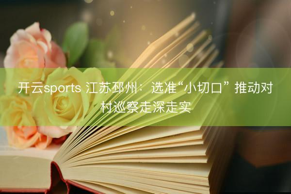 开云sports 江苏邳州：选准“小切口” 推动对村巡察走深走实