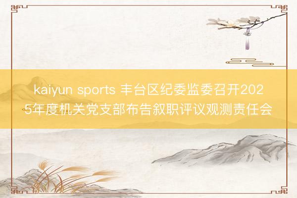 kaiyun sports 丰台区纪委监委召开2025年度机关党支部布告叙职评议观测责任会