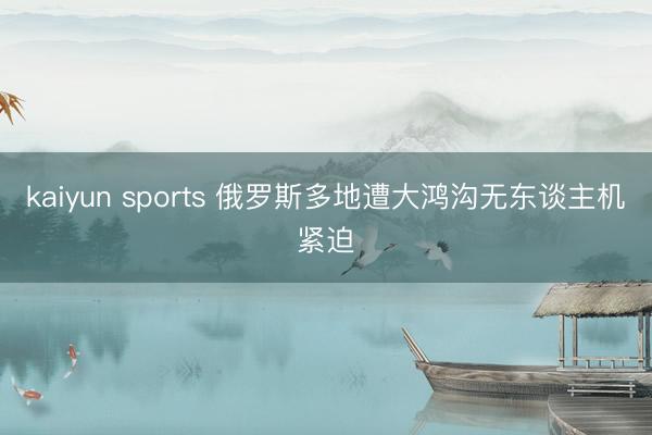 kaiyun sports 俄罗斯多地遭大鸿沟无东谈主机紧迫