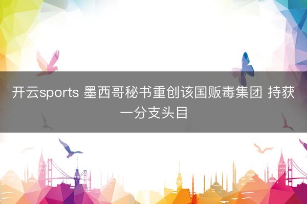 开云sports 墨西哥秘书重创该国贩毒集团 持获一分支头目