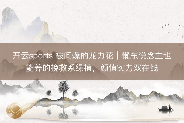 开云sports 被问爆的龙力花｜懒东说念主也能养的挽救系绿植，颜值实力双在线