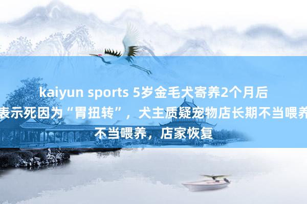 kaiyun sports 5岁金毛犬寄养2个月后牺牲，论说表示死因为“胃扭转”，犬主质疑宠物店长期不当喂养，店家恢复