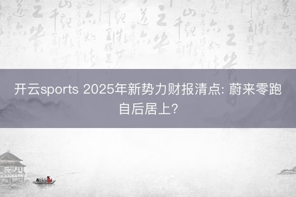 开云sports 2025年新势力财报清点: 蔚来零跑自后居上?