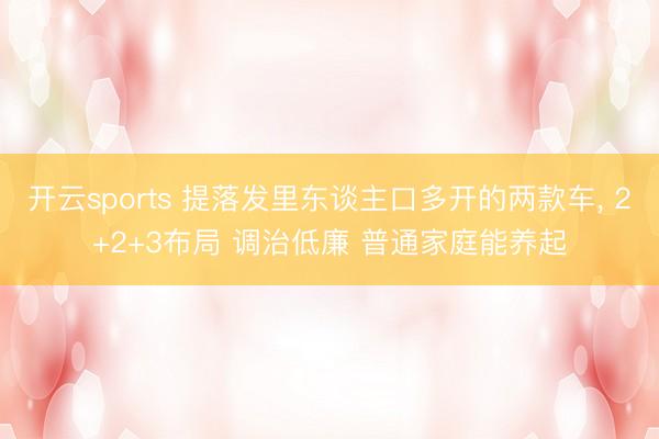 开云sports 提落发里东谈主口多开的两款车, 2+2+3布局 调治低廉 普通家庭能养起