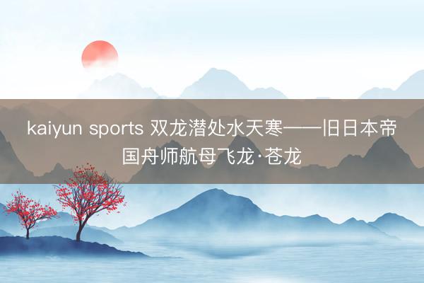kaiyun sports 双龙潜处水天寒——旧日本帝国舟师航母飞龙·苍龙