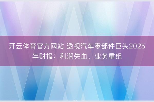 开云体育官方网站 透视汽车零部件巨头2025年财报：利润失血、业务重组