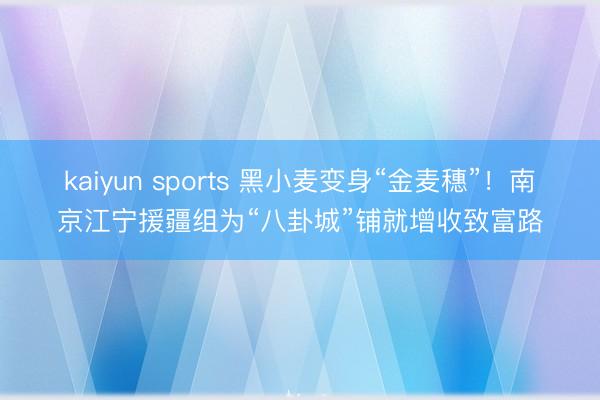 kaiyun sports 黑小麦变身“金麦穗”！南京江宁援疆组为“八卦城”铺就增收致富路