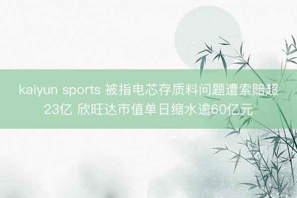 kaiyun sports 被指电芯存质料问题遭索赔超23亿 欣旺达市值单日缩水逾60亿元