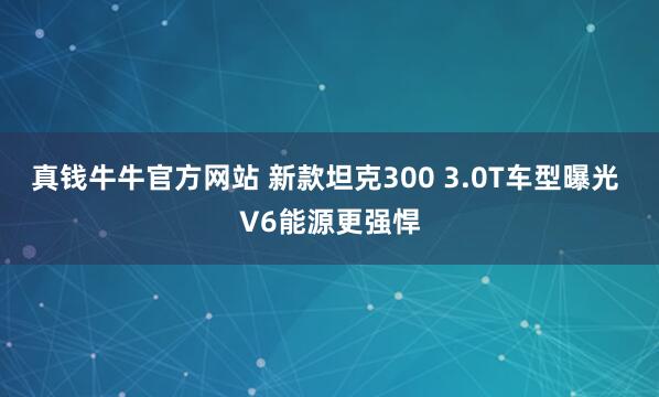 真钱牛牛官方网站 新款坦克300 3.0T车型曝光 V6能源更强悍