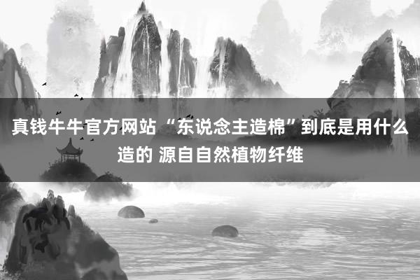 真钱牛牛官方网站 “东说念主造棉”到底是用什么造的 源自自然植物纤维