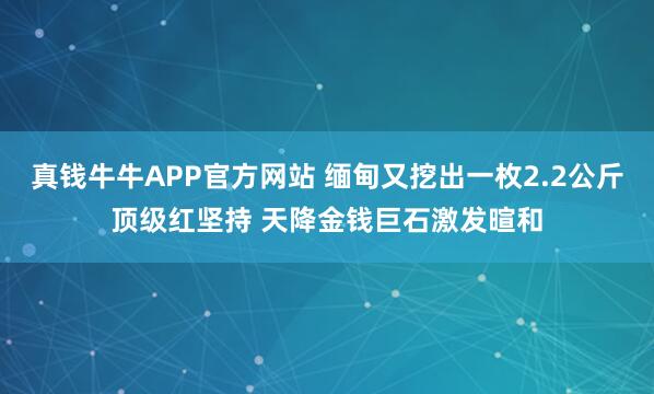 真钱牛牛APP官方网站 缅甸又挖出一枚2.2公斤顶级红坚持 天降金钱巨石激发暄和