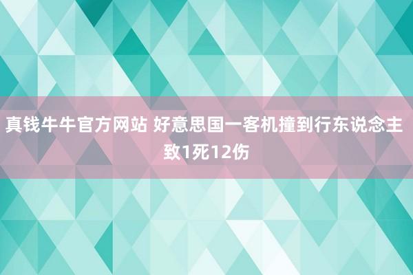 真钱牛牛官方网站 好意思国一客机撞到行东说念主 致1死12伤