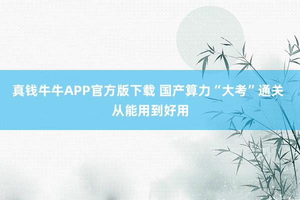 真钱牛牛APP官方版下载 国产算力“大考”通关 从能用到好用