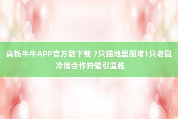 真钱牛牛APP官方版下载 7只猫地里围堵1只老鼠 冷落合作狩猎引温雅