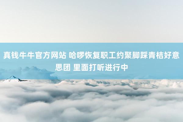 真钱牛牛官方网站 哈啰恢复职工约聚脚踩青桔好意思团 里面打听进行中