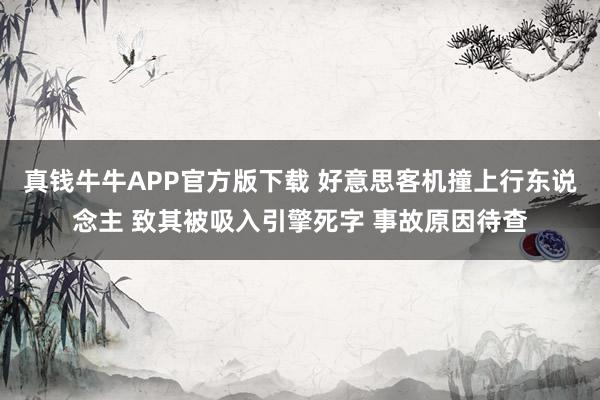 真钱牛牛APP官方版下载 好意思客机撞上行东说念主 致其被吸入引擎死字 事故原因待查