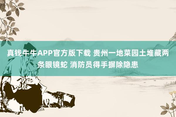 真钱牛牛APP官方版下载 贵州一地菜园土堆藏两条眼镜蛇 消防员得手摒除隐患
