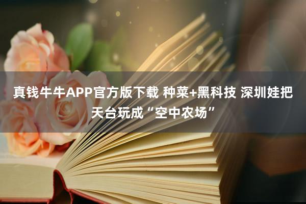 真钱牛牛APP官方版下载 种菜+黑科技 深圳娃把天台玩成“空中农场”