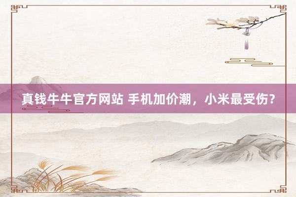 真钱牛牛官方网站 手机加价潮，小米最受伤？