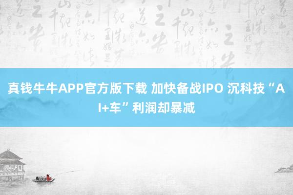 真钱牛牛APP官方版下载 加快备战IPO 沉科技“AI+车”利润却暴减