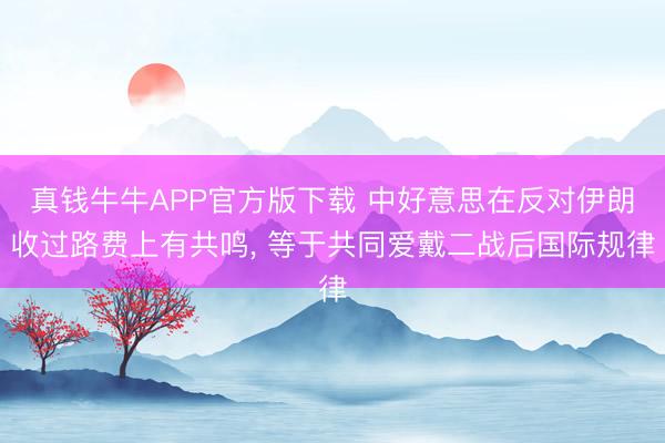 真钱牛牛APP官方版下载 中好意思在反对伊朗收过路费上有共鸣， 等于共同爱戴二战后国际规律