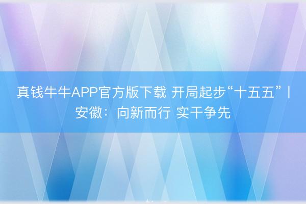 真钱牛牛APP官方版下载 开局起步“十五五”丨安徽：向新而行 实干争先