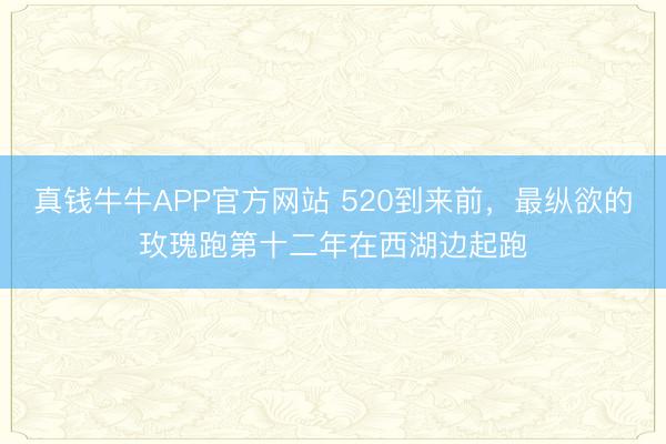 真钱牛牛APP官方网站 520到来前，最纵欲的玫瑰跑第十二年在西湖边起跑