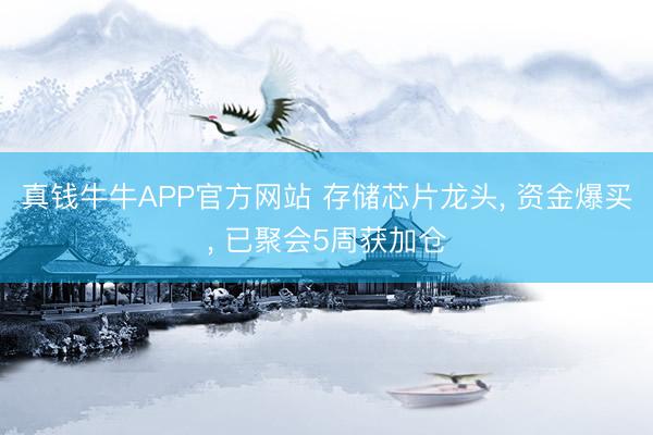 真钱牛牛APP官方网站 存储芯片龙头， 资金爆买， 已聚会5周获加仓