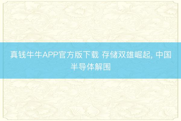 真钱牛牛APP官方版下载 存储双雄崛起， 中国半导体解围