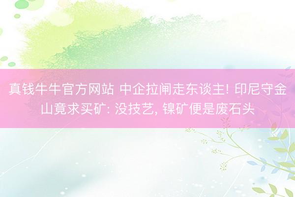 真钱牛牛官方网站 中企拉闸走东谈主! 印尼守金山竟求买矿: 没技艺， 镍矿便是废石头