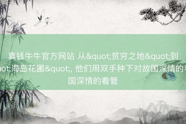 真钱牛牛官方网站 从"贫穷之地"到"海岛花圃"， 他们用双手种下对故国深情的看管