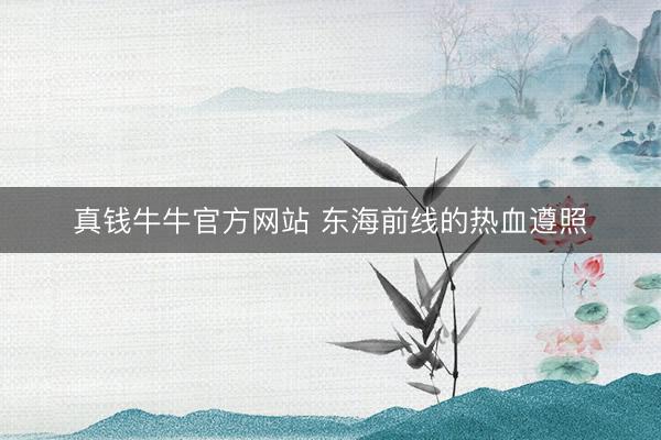 真钱牛牛官方网站 东海前线的热血遵照