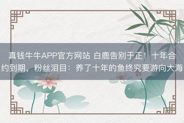 真钱牛牛APP官方网站 白鹿告别于正！十年合约到期，粉丝泪目：养了十年的鱼终究要游向大海