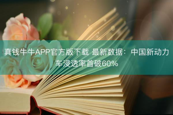 真钱牛牛APP官方版下载 最新数据：中国新动力车浸透率首破60%